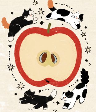 apple cat illustration